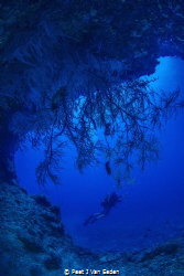 Into the deep blue caves of Situ island by Peet J Van Eeden 